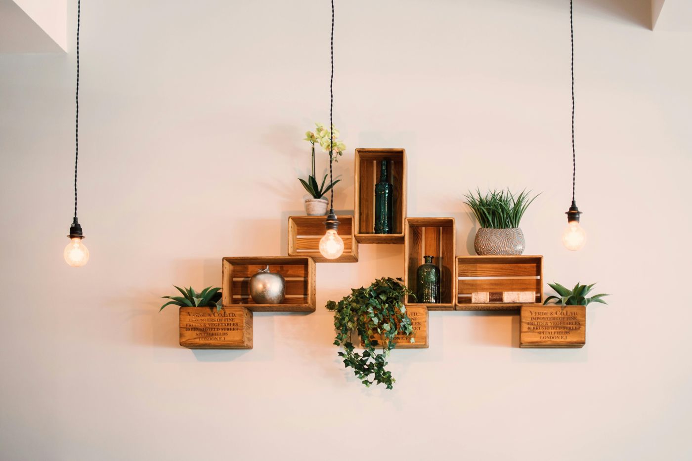 Wall shelves with plants and lights