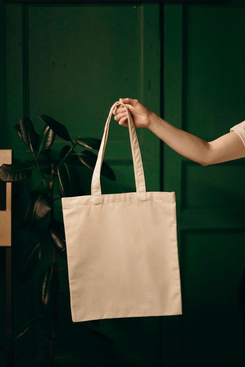 Canvas tote bag